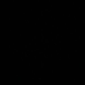 Meet your Posher, Desi